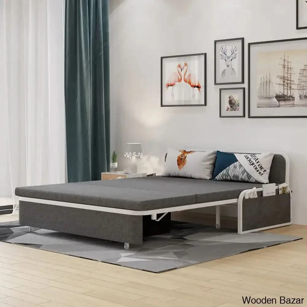 Moder sofa cum bed-4