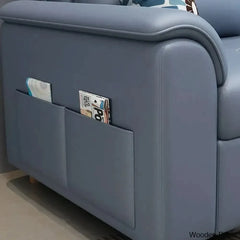 Luxury Sofa cum bed-4