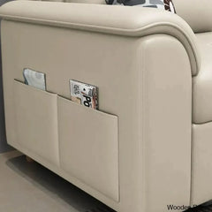 Luxury Sofa cum bed-23