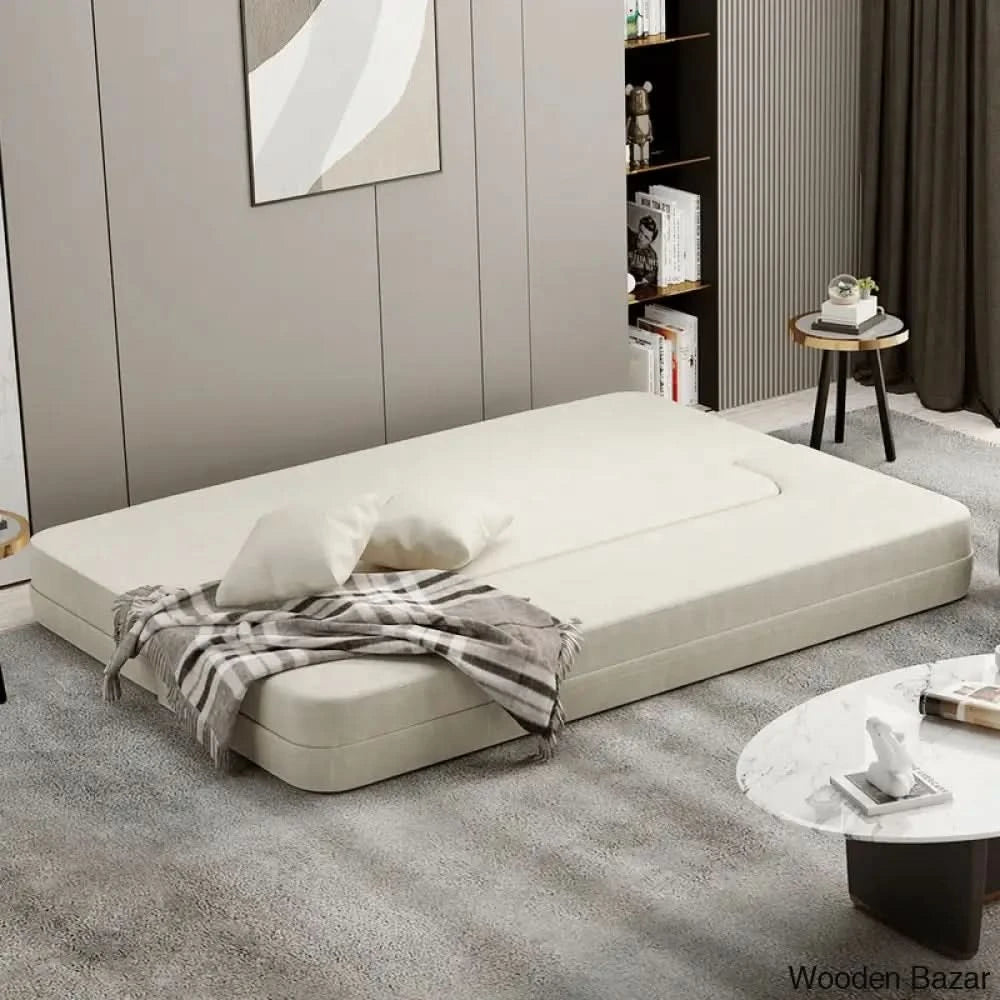 Sofa Cum bed for living room-1