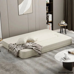 Sofa Cum bed for living room-1