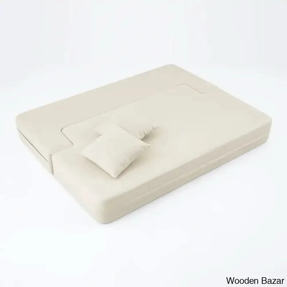 Sofa Cum bed for living room-12