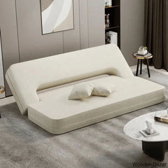 Sofa Cum bed for living room-2