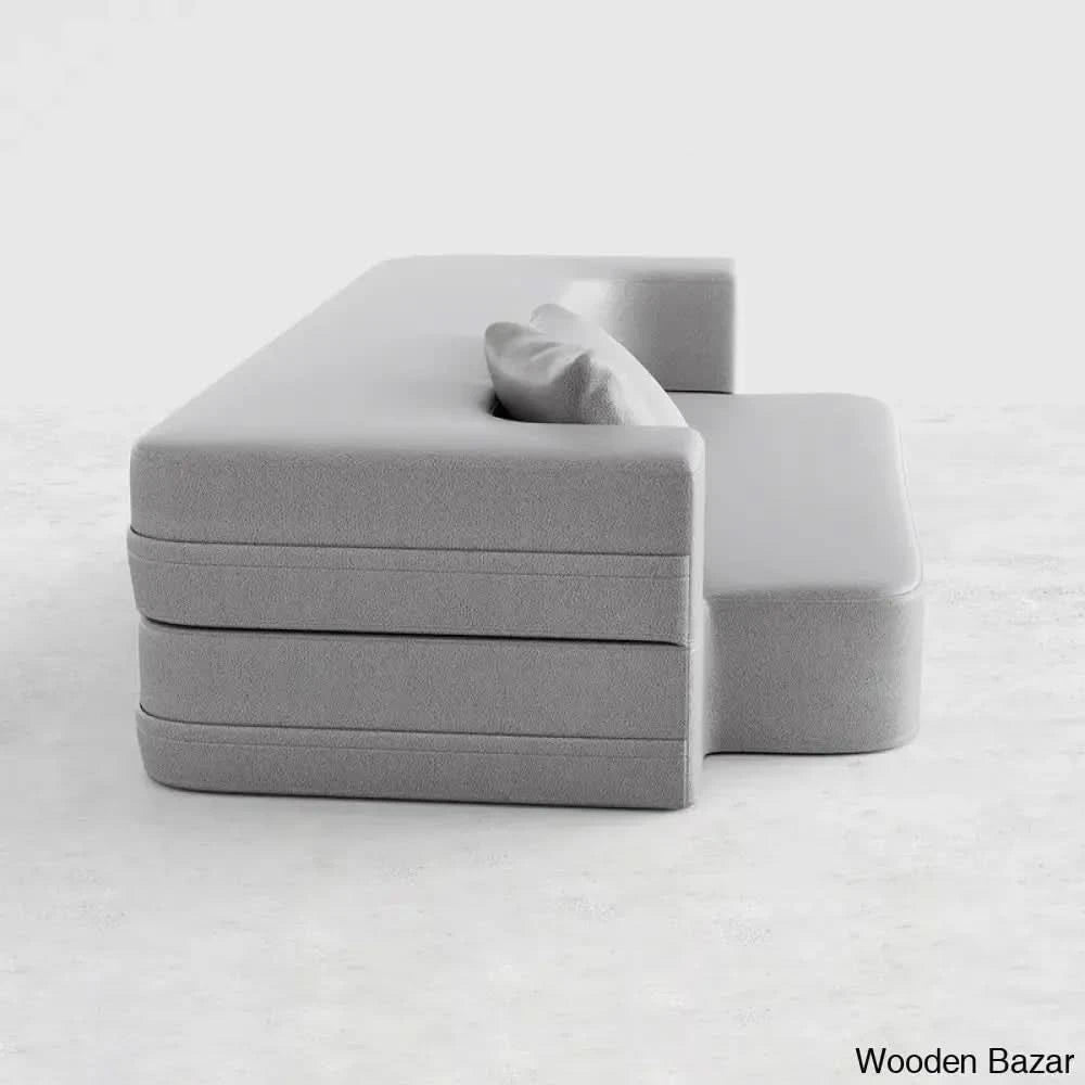 Sofa Cum bed for living room-18