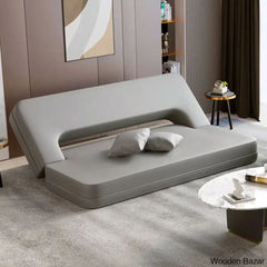 Sofa Cum bed for living room-14