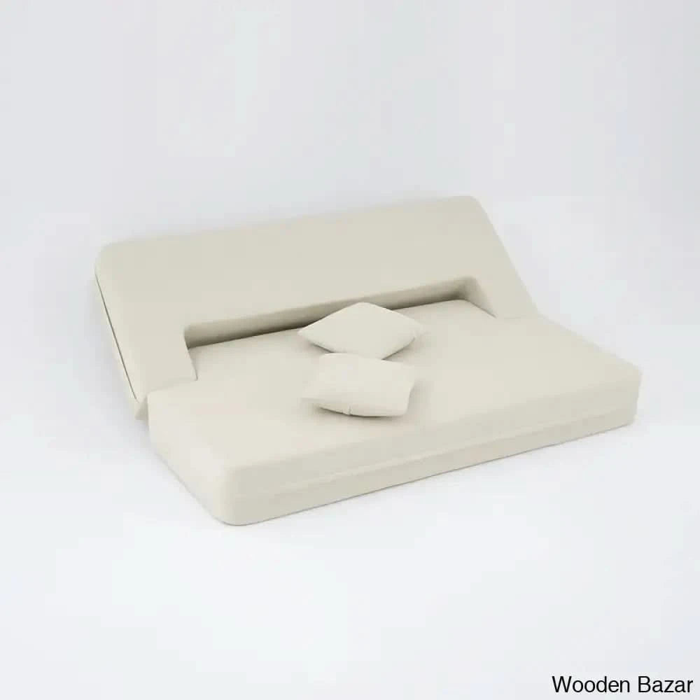 Sofa Cum bed for living room-9