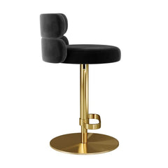 Giacamoz Adjustable Height Swivel Velvet Counter and Bar stool in Stainless Steel
