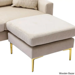 Damian Luxury Accent Sofa /Living Room Sectional