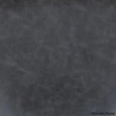 Liekelen Swivel Commercial Grade Leather Soft Upholstered Bar & Counter Stools (Set Of 2)