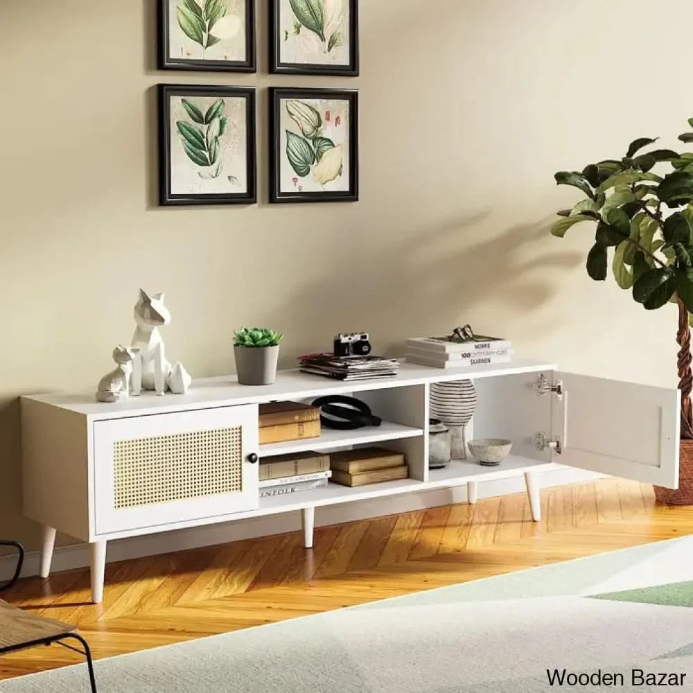 Tv Unit -5