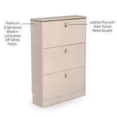 Buy Shoe Cabinet With Stylish and  Space-Saving Storage Solution