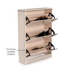 Buy Shoe Cabinet With Stylish and  Space-Saving Storage Solution