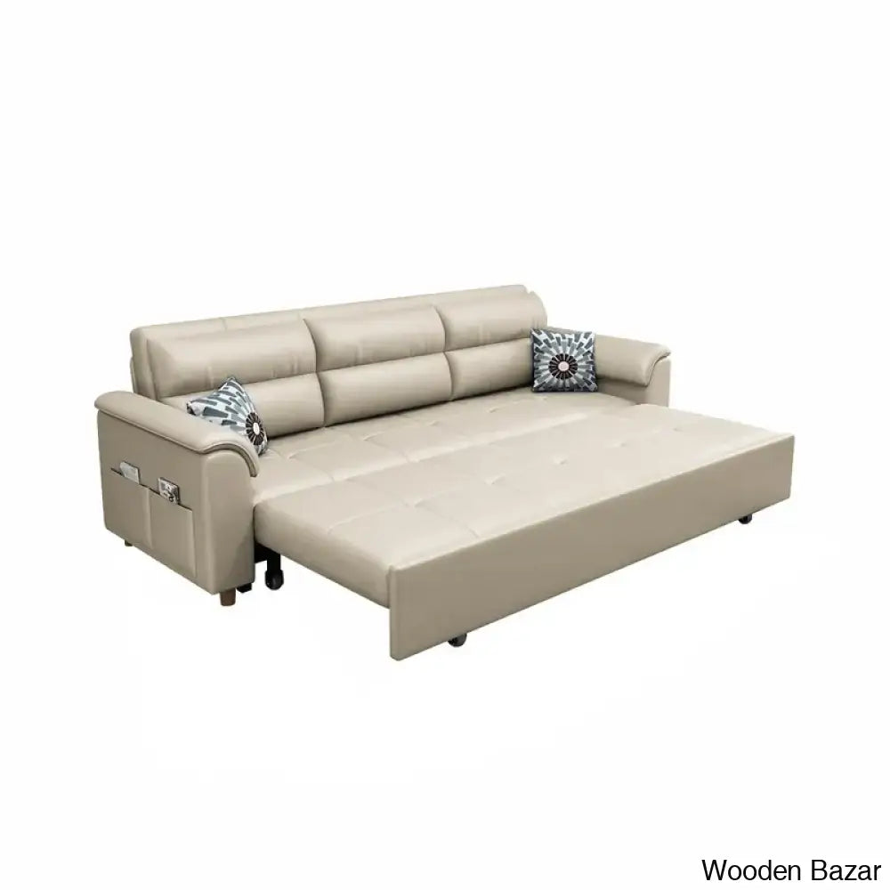 Luxury Sofa cum bed-22