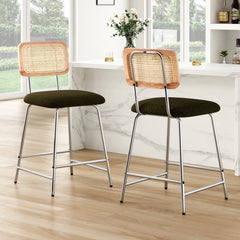 Burokern Swivel 25.2" Counter and bar Stool (Set of 2)