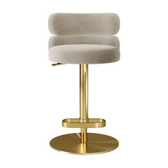 Giacamoz Adjustable Height Swivel Velvet Counter and Bar stool in Stainless Steel