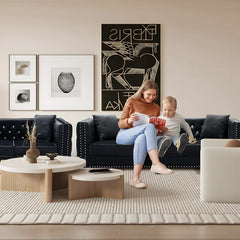 Magbiem 2 Piece Velvet Living Room Luxury Sofa Set
