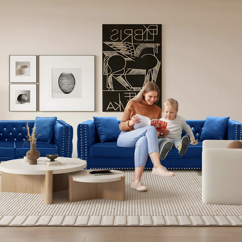 Magbiem 2 Piece Velvet Living Room Luxury Sofa Set