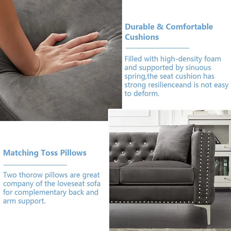 Magbiem 2 Piece Velvet Living Room Luxury Sofa Set
