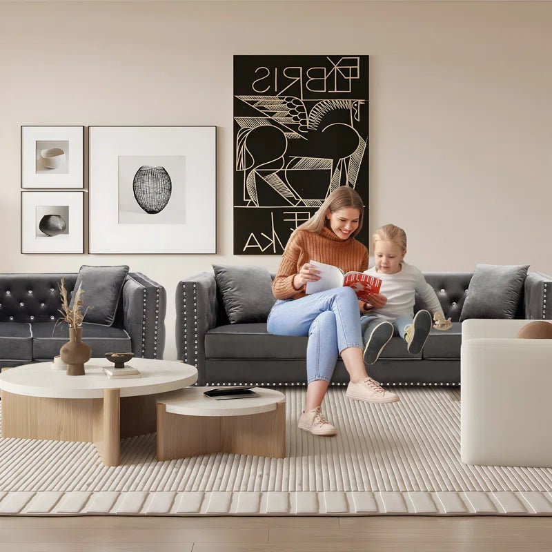 Magbiem 2 Piece Velvet Living Room Luxury Sofa Set
