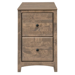 Civin 2 -Drawer Solid Wood File Cabinet - Wooden Bazar
