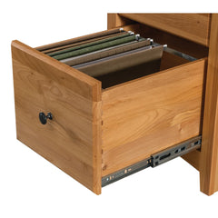 Civin 2 -Drawer Solid Wood File Cabinet - Wooden Bazar