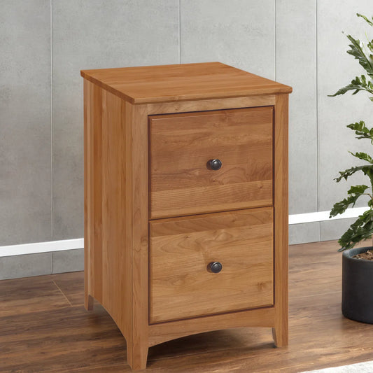 Civin 2 -Drawer Solid Wood File Cabinet - Wooden Bazar