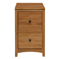 Civin 2 -Drawer Solid Wood File Cabinet - Wooden Bazar