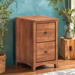 Civin 2 -Drawer Solid Wood File Cabinet - Wooden Bazar