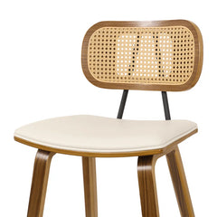 Latiu Swivel Upholstered Rattan Counter & Bar Stool