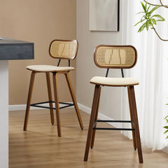 Latiu Swivel Upholstered Rattan Counter & Bar Stool