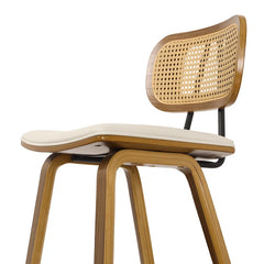 Latiu Swivel Upholstered Rattan Counter & Bar Stool