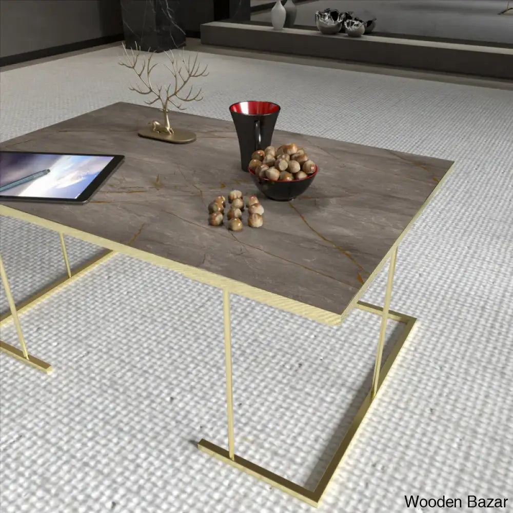 Akershuys Single Coffee And Center Table