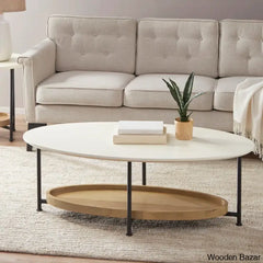 Alasteir 4 Legs Coffee And Center Table With Storage