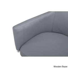 Aleshaneeo Swivel Bar & Counter Stool
