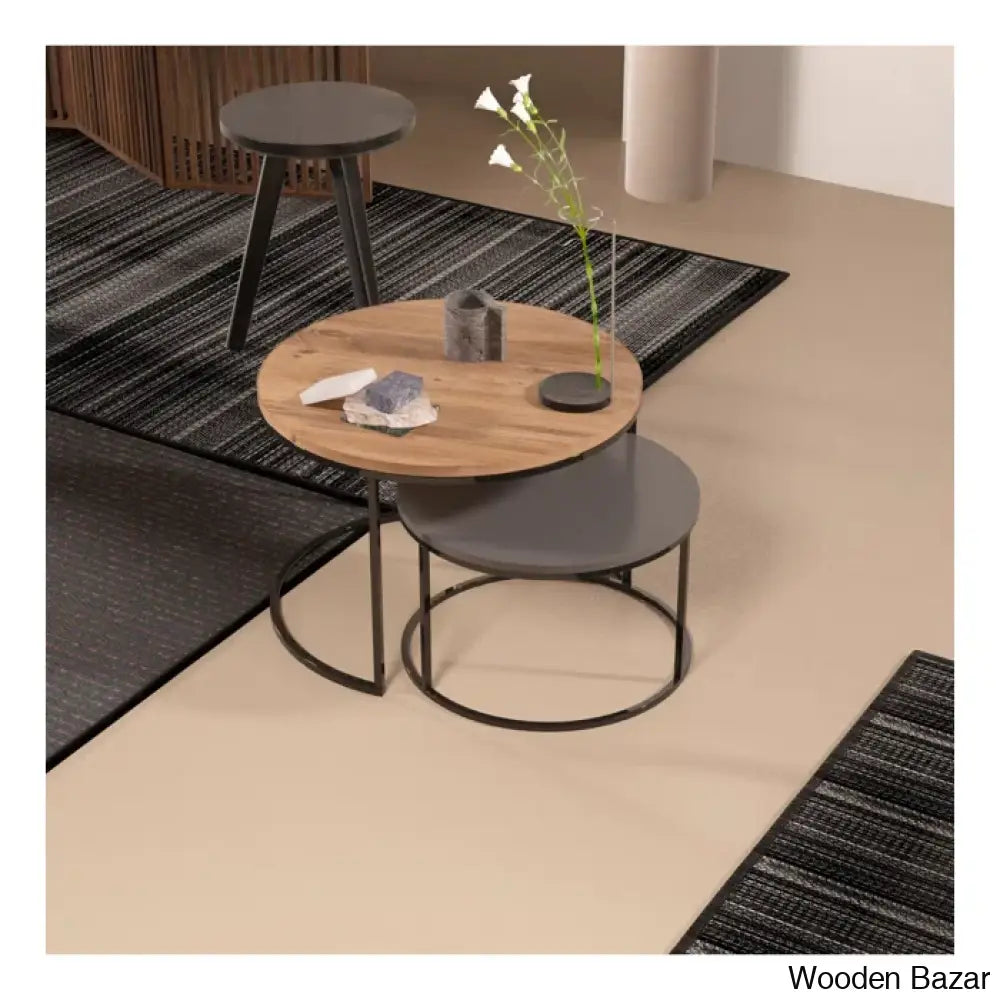 Aleyciha Coffee And Center Table (Set Of 2)