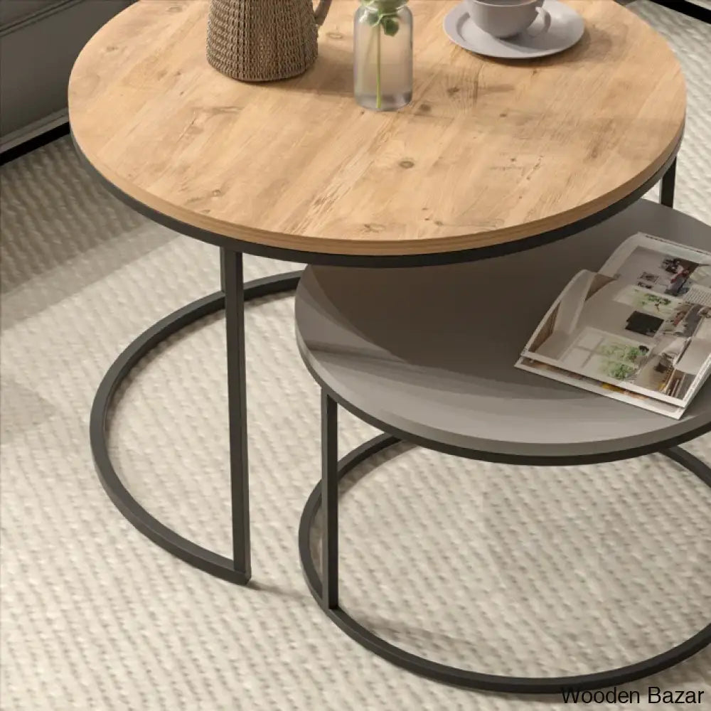 Aleyciha Coffee And Center Table (Set Of 2)