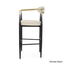 Amenz Upholstered Counter And Bar Stools (Set Of 2)