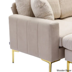 Damian Luxury Accent Sofa /Living Room Sectional