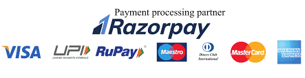 payment processing partner