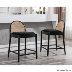 Emingtony Swivel Modern Counter And Bar Stools Height With Rattan Backrests Wood Frame (Set Of 2)