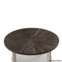 Gunnisoni Cross Legs Coffee And Center Table With Storage