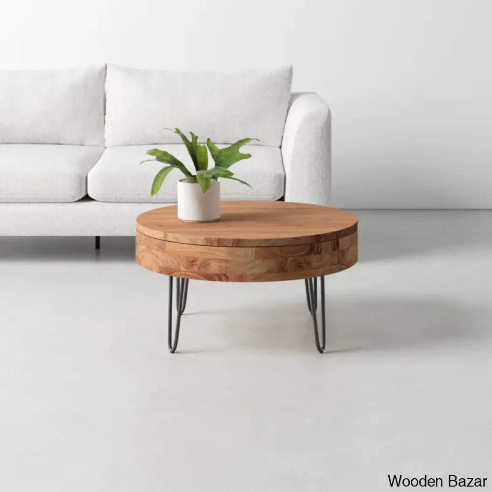 Heaton Solid Wood Coffee Table With Storage And Center Table