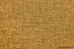Jessica Elegant Modern Sofa In Mustard Color - Wooden Bazar