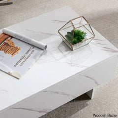 Khiryt Sled Marble Rectangle High Gloss Coffee And Center Table Elegant Center
