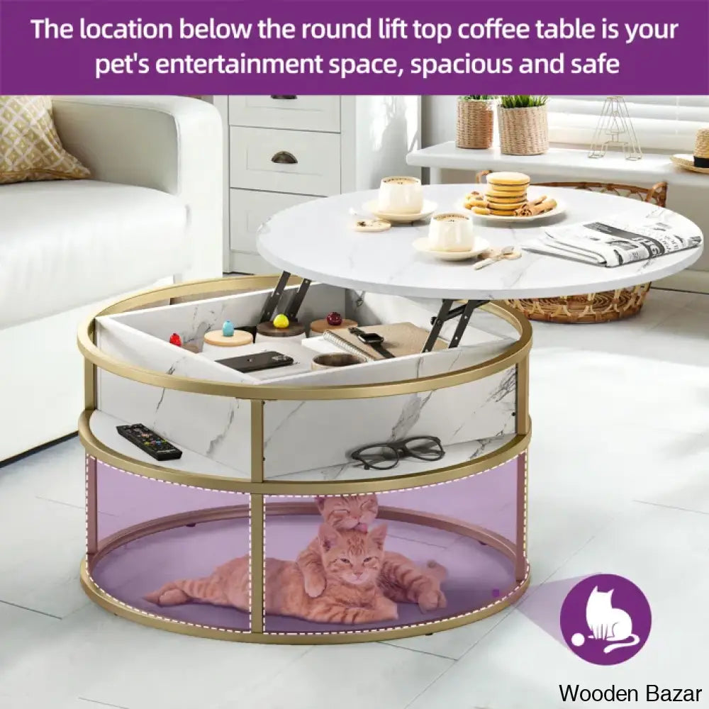 Rothwell Lift Top Extendable Round Frame Coffee Table With Storage And Center