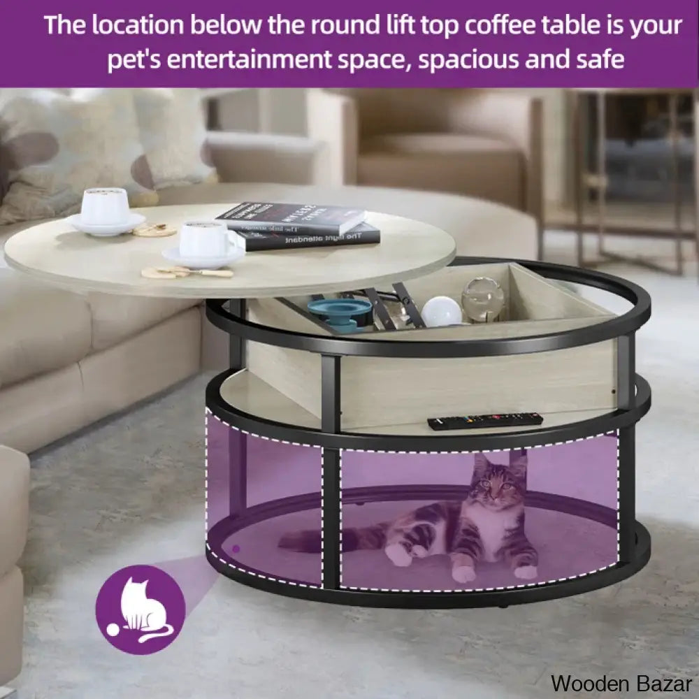 Rothwell Lift Top Extendable Round Frame Coffee Table With Storage And Center