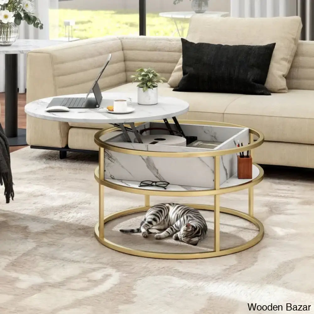 Rothwell Lift Top Extendable Round Frame Coffee Table With Storage And Center