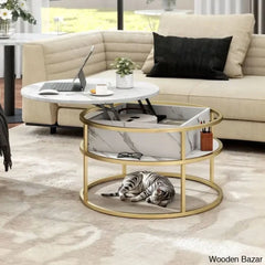 Rothwell Lift Top Extendable Round Frame Coffee Table With Storage And Center