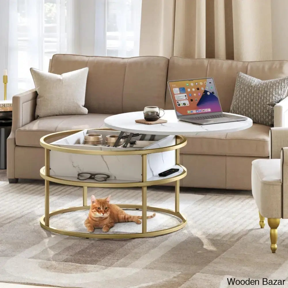 Rothwell Lift Top Extendable Round Frame Coffee Table With Storage And Center