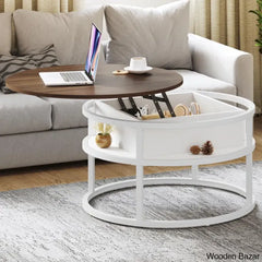 Rothwell Lift Top Extendable Round Frame Coffee Table With Storage And Center